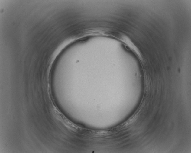 X0000078241435200612011553