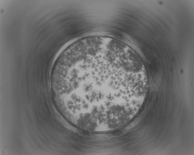 X0000078241436200612011553