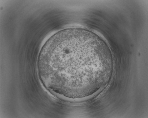 X0000078241440200612011553