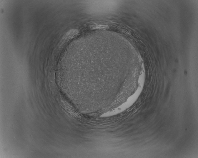 X0000078241441200612011553