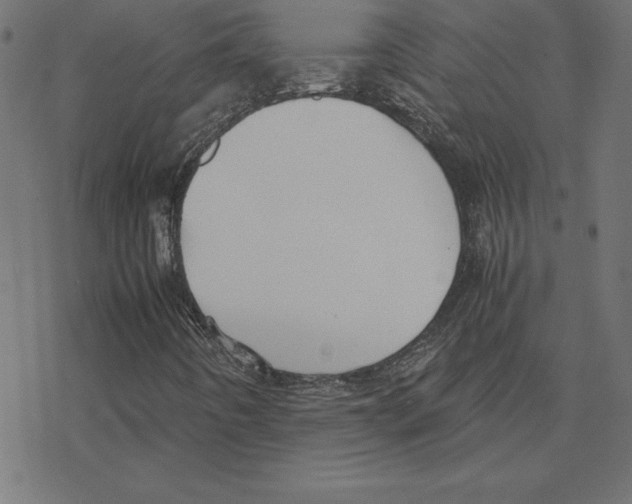 X0000078241442200612011553