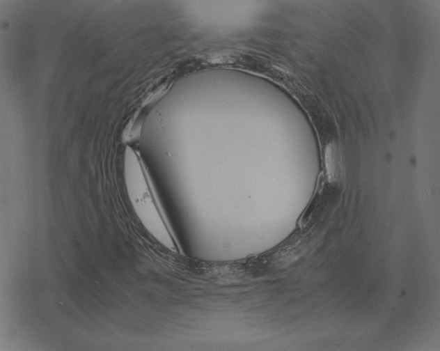 X0000078241443200612011553