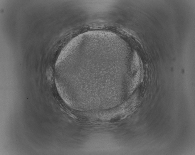 X0000078241445200612011553