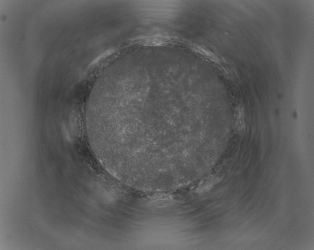 X0000078241446200612011553