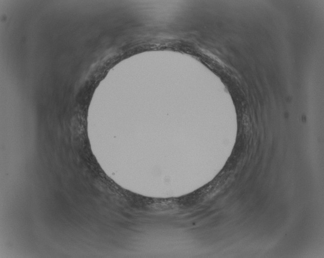 X0000078241447200612011553