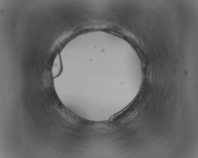 X0000078241448200612011553