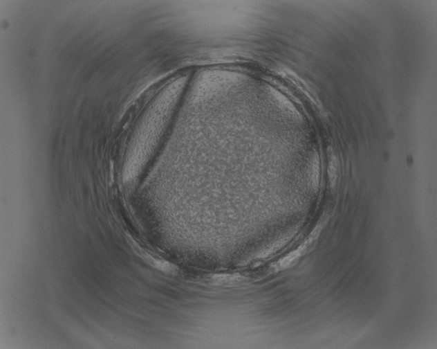 X0000078241449200612011553