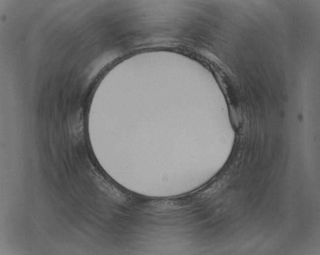 X0000078241450200612011553