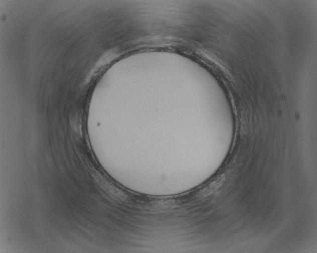 X0000078241451200612011553