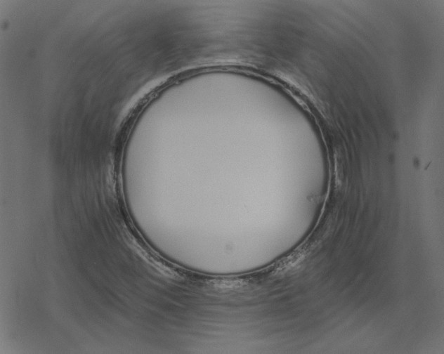 X0000078241452200612011553