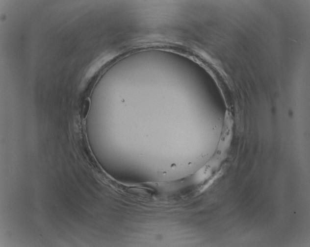 X0000078241453200612011553