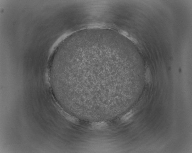 X0000078241454200612011553