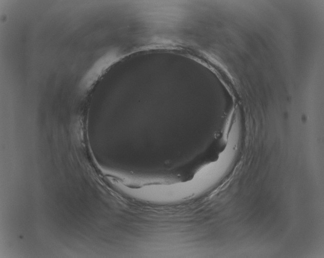 X0000078241455200612011553