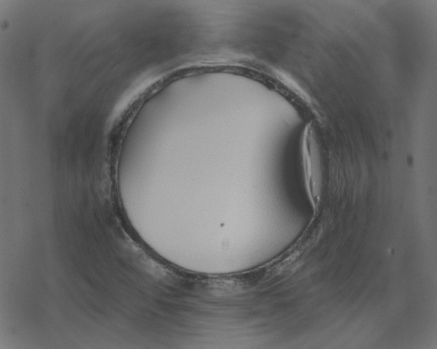 X0000078241456200612011552