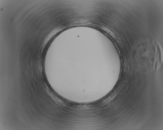 X0000078241458200612011552