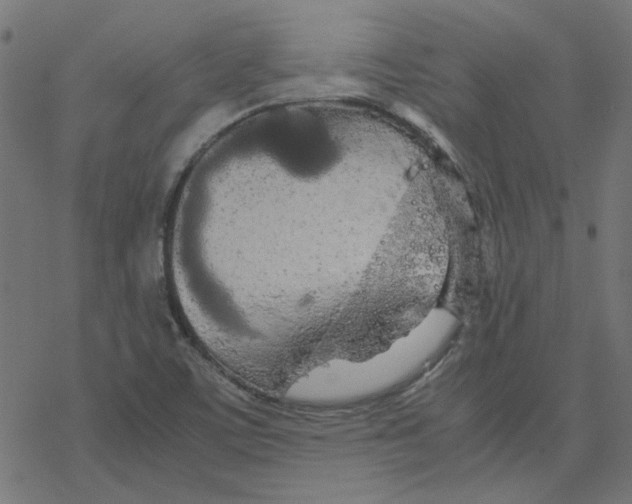 X0000078241459200612011552