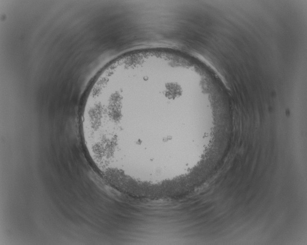 X0000078241460200612011552