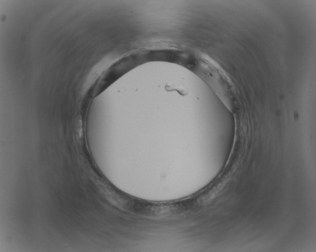 X0000078241461200612011552