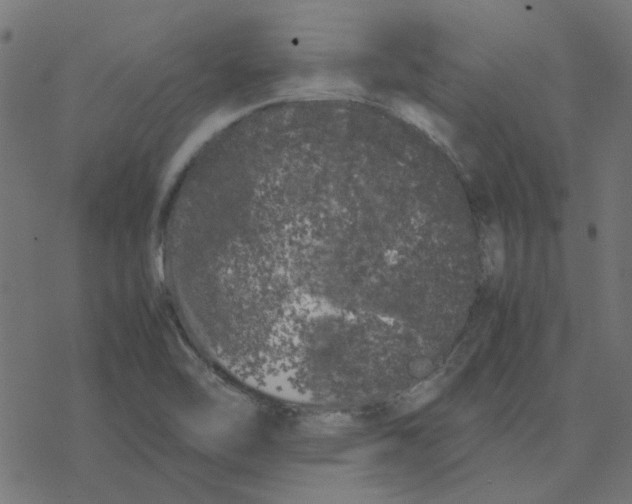 X0000078241462200612011552