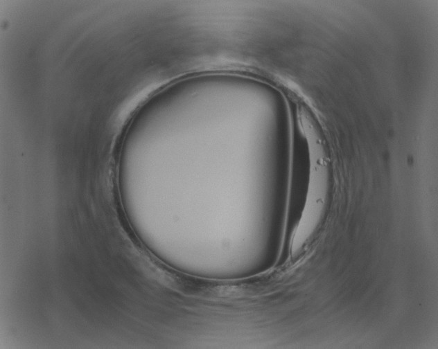 X0000078241463200612011552