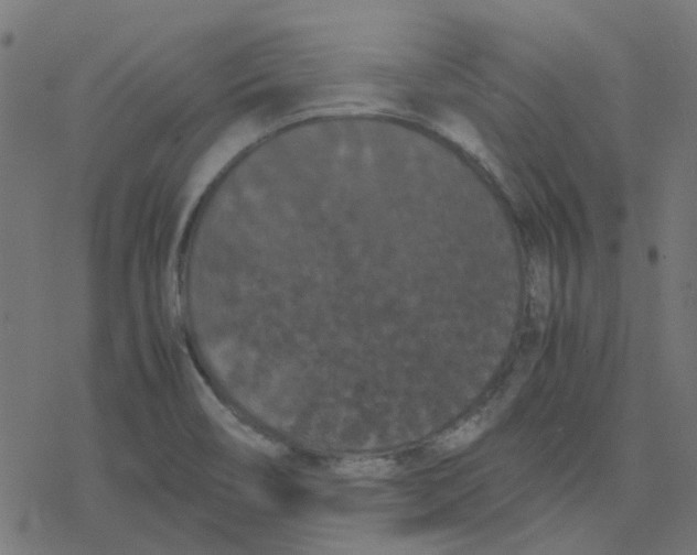 X0000078241466200612011552