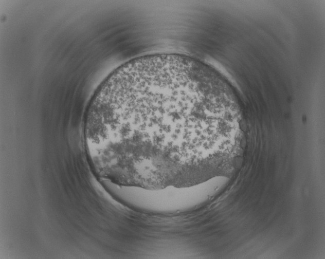 X0000078241468200612011552