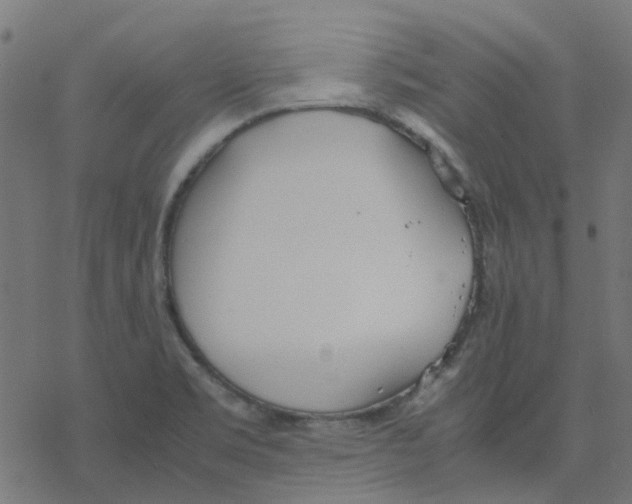 X0000078241469200612011552