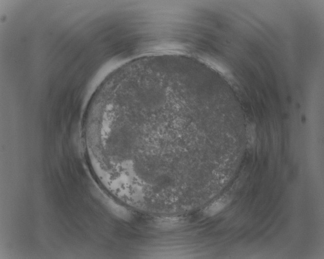 X0000078241470200612011552