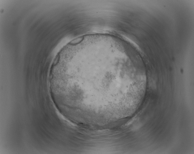 X0000078241471200612011552