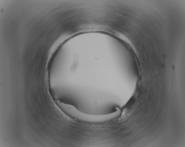 X0000078241472200612011552