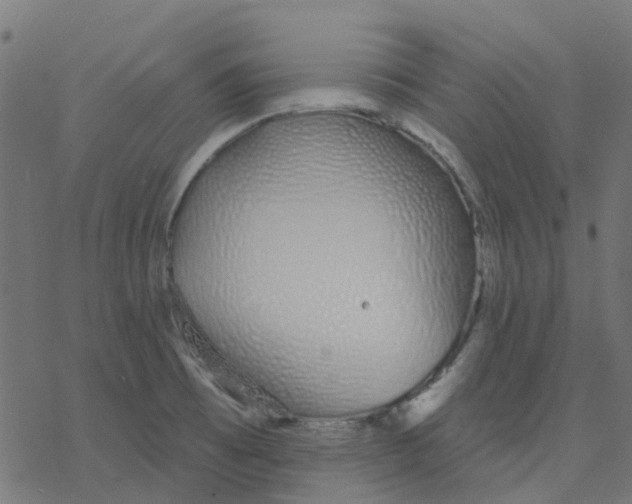 X0000078241473200612011552