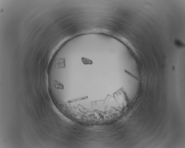 X0000078241476200612011552