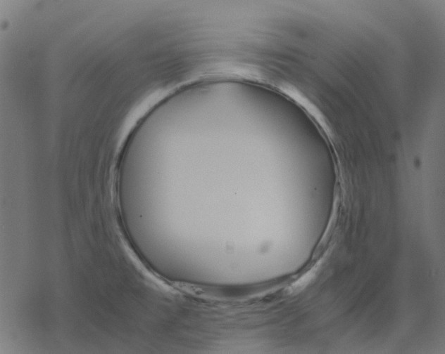 X0000078241477200612011552