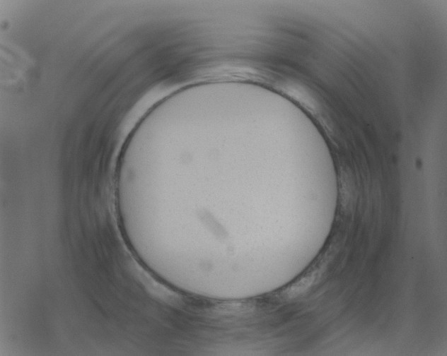 X0000078241478200612011552