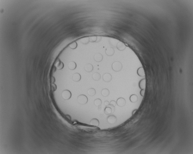 X0000078241479200612011552