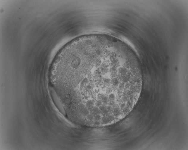 X0000078241480200612011552