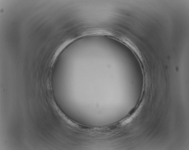 X0000078241481200612011552