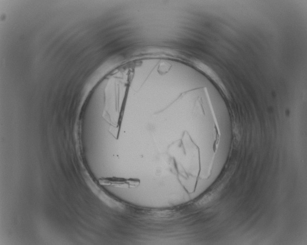 X0000078241482200612011552