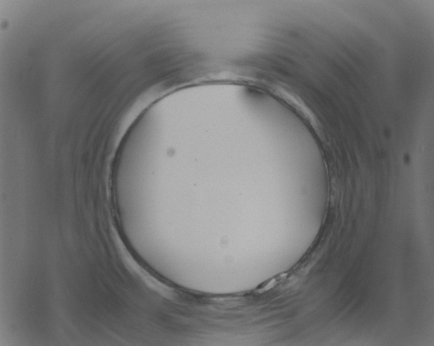 X0000078241483200612011552