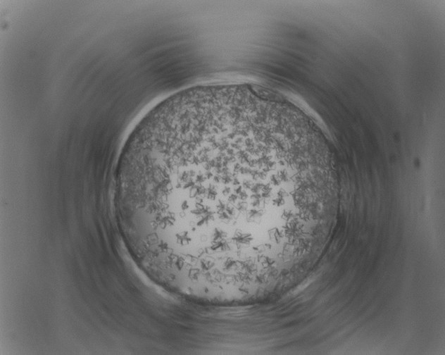 X0000078241484200612011552