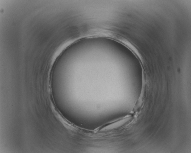 X0000078241485200612011552