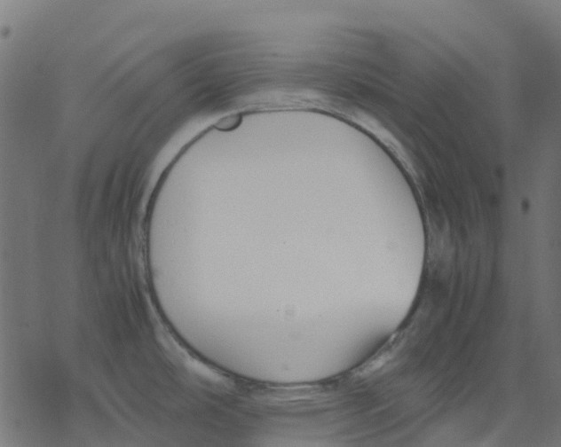 X0000078241486200612011552