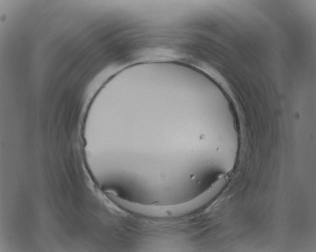 X0000078241488200612011552