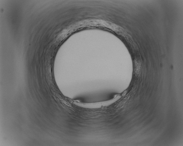 X0000078241489200612011551