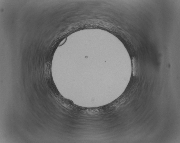 X0000078241491200612011551