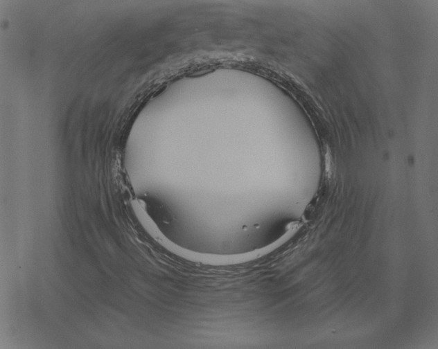 X0000078241492200612011551