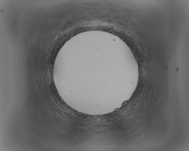 X0000078241493200612011551