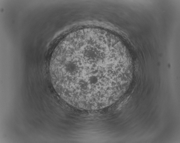 X0000078241494200612011551