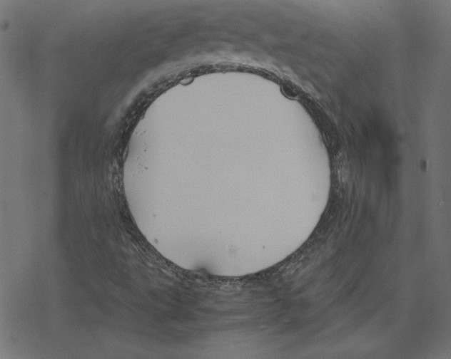 X0000078241495200612011551