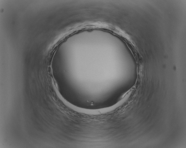 X0000078241496200612011551